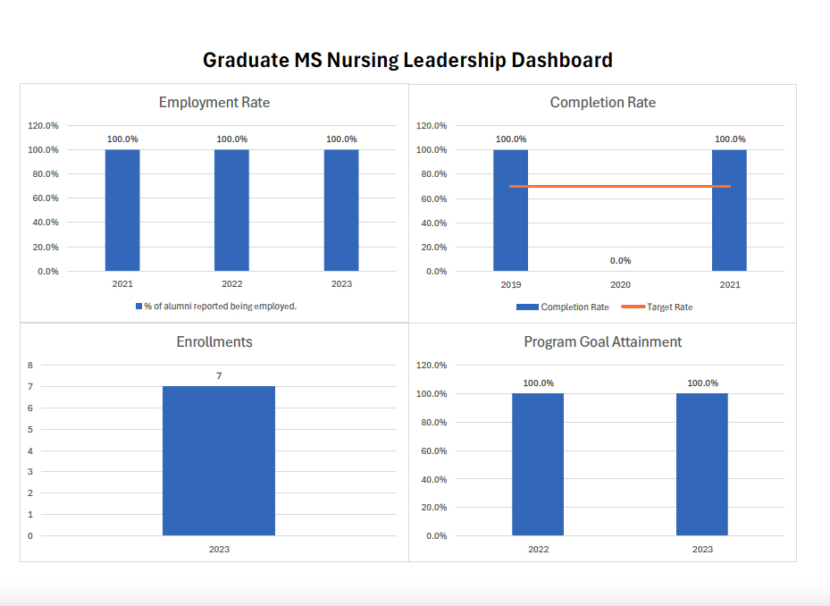 MS Nursing Leadership dashboard